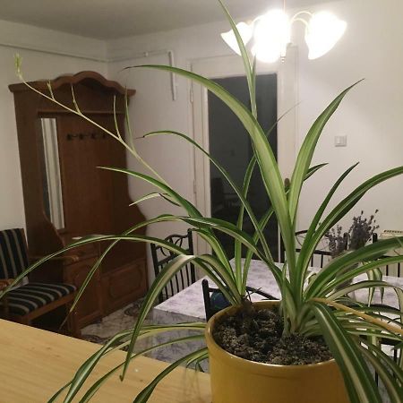 Apartament Levendula Apartmanhaz Sümeg Zewnętrze zdjęcie