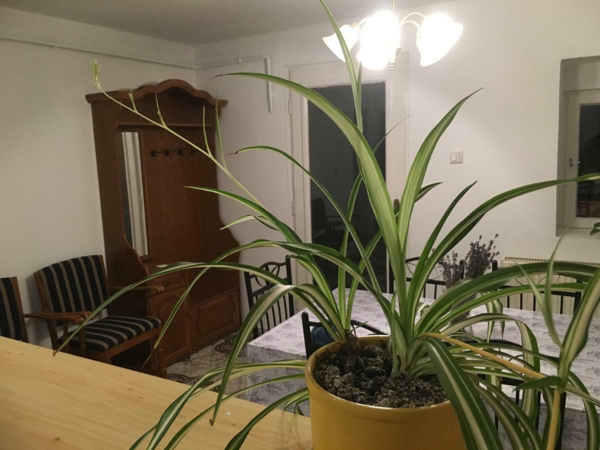 Apartament Levendula Apartmanhaz Sümeg Zewnętrze zdjęcie